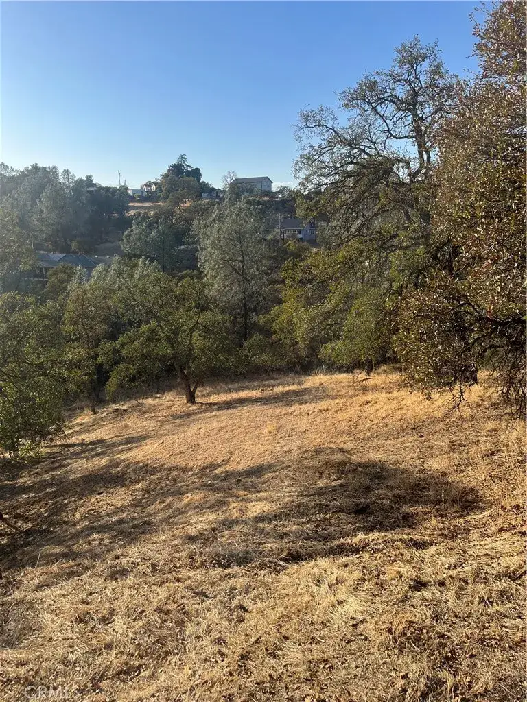 175 Lemon Hill, Oroville, CA 95966 - #2