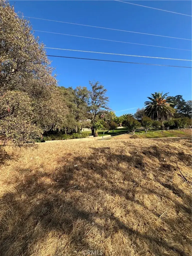 175 Lemon Hill, Oroville, CA 95966 - #3