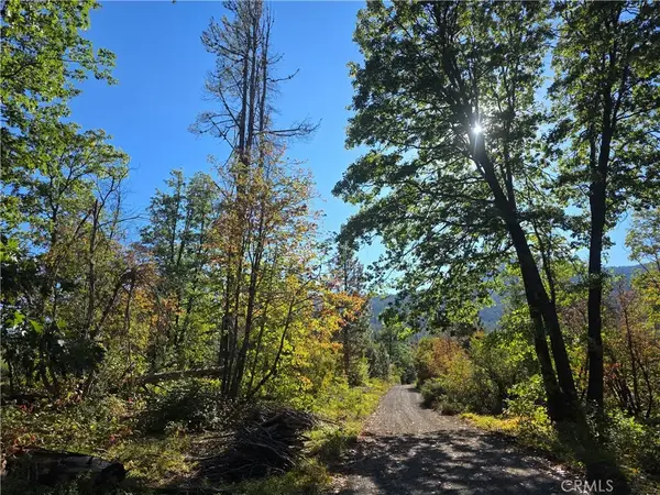 0 Muledeer Rd., Weed, CA 96094