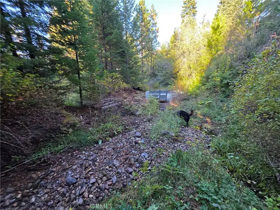 0 Muledeer Rd., Weed, CA 96094 - Image #2