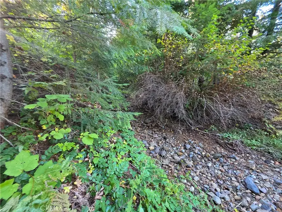 0 Muledeer Rd., Weed, CA 96094 - Image #3