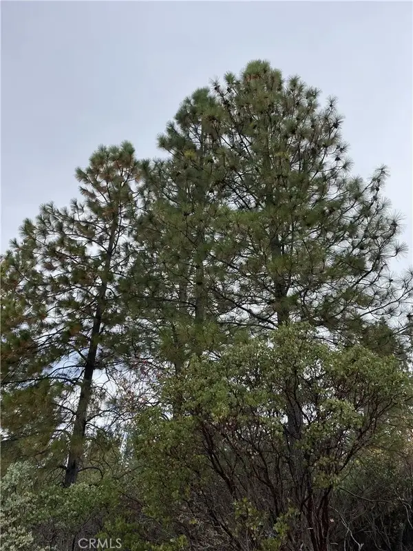 0 Fitzgerald, Forest Ranch, CA 95942