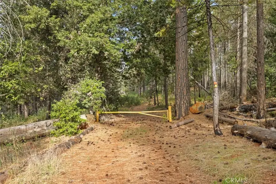 0 Old Forbestown, Forbestown, CA 95941 - #3