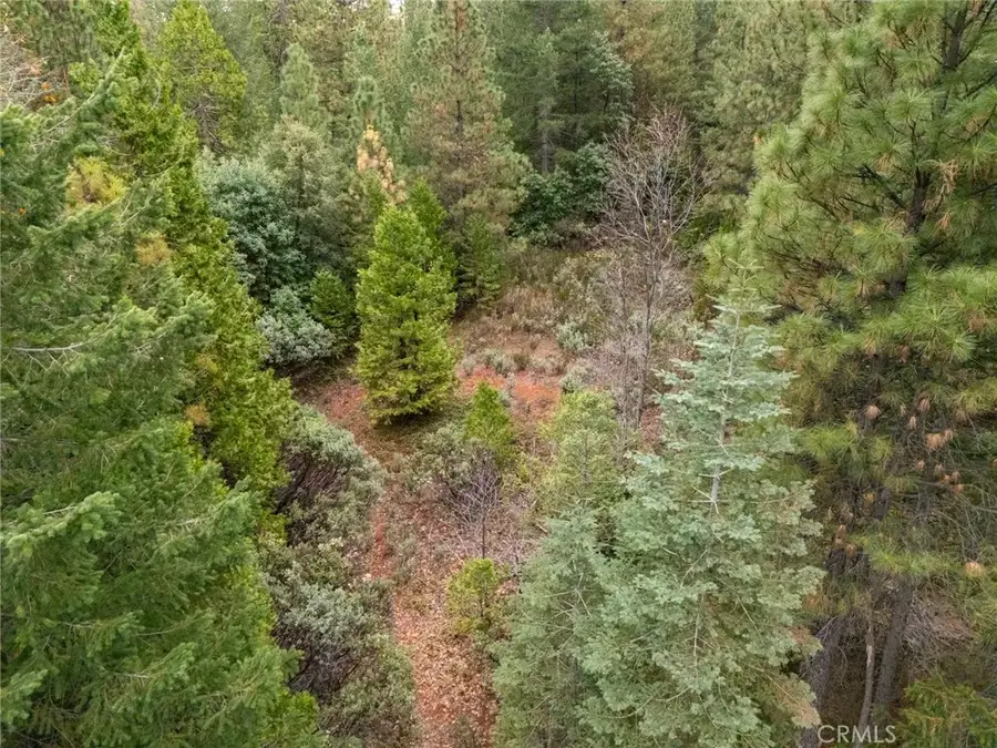 1 Old Forbestown, Forbestown, CA 95941 - #2