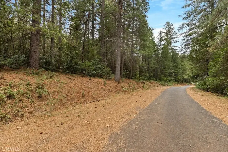 1 Old Forbestown, Forbestown, CA 95941 - #3