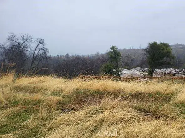 0 Pritchett, Berry Creek, CA 95916 - Image #3