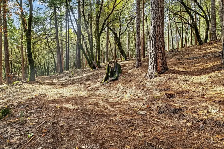 0 Cedar Creek, Forest Ranch, CA 95942 - #3