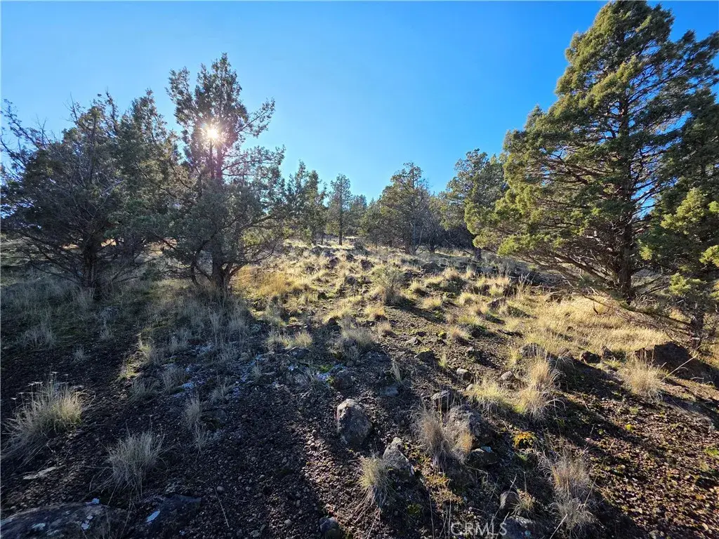 25 Quail Ridge, Weed, CA 96094 - #1