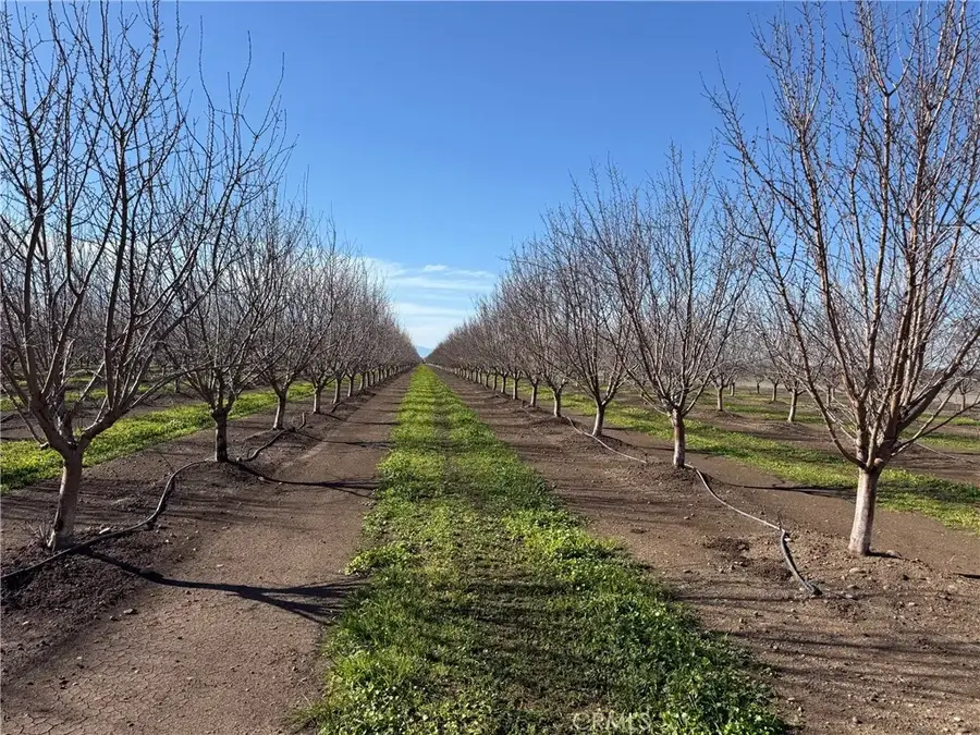 14693 Hamilton Nord Cana, Chico, CA 95973 - #2