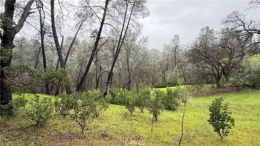 16370 Oakridge, Corning, CA 96021 - #3