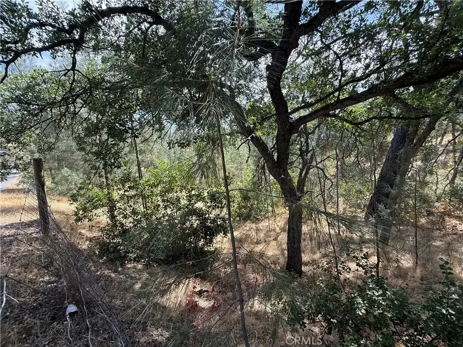 16305 Hillcrest, Corning, CA 96021 - #3