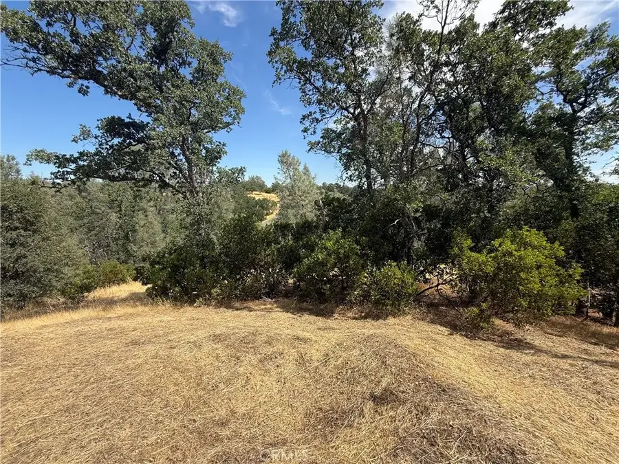 16318 Longhorn, Corning, CA 96021 - #2