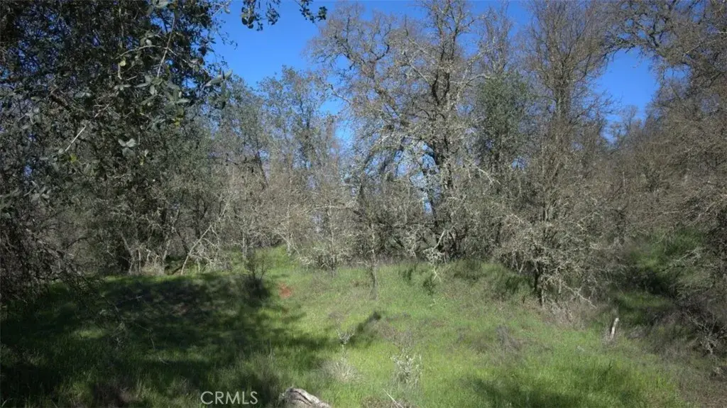 123 Rail Bridge Rd, Oroville, CA 95966 - #1