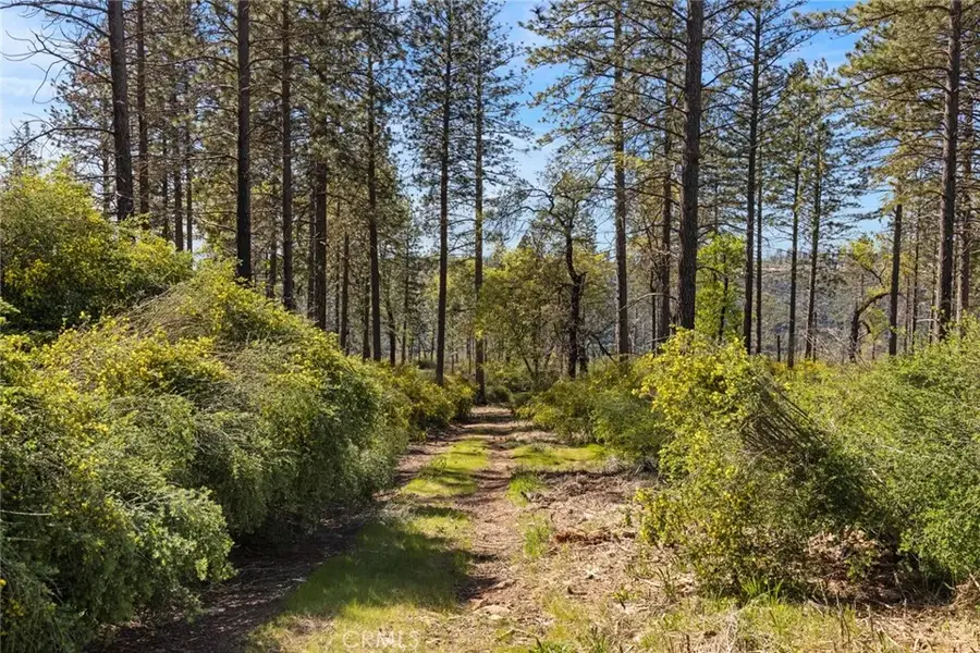 2922 Lost Ridge, Oroville, CA 95965 - #2