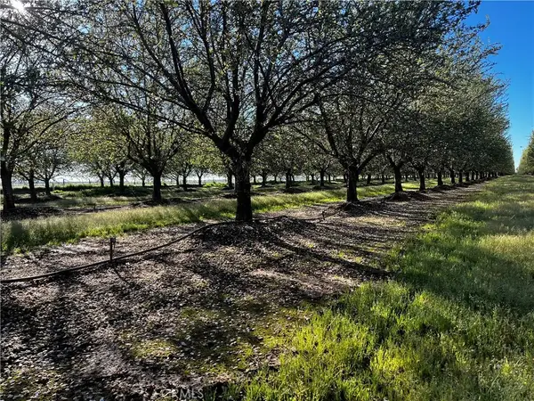 24186 Orangewood Road, Corning, CA 96021