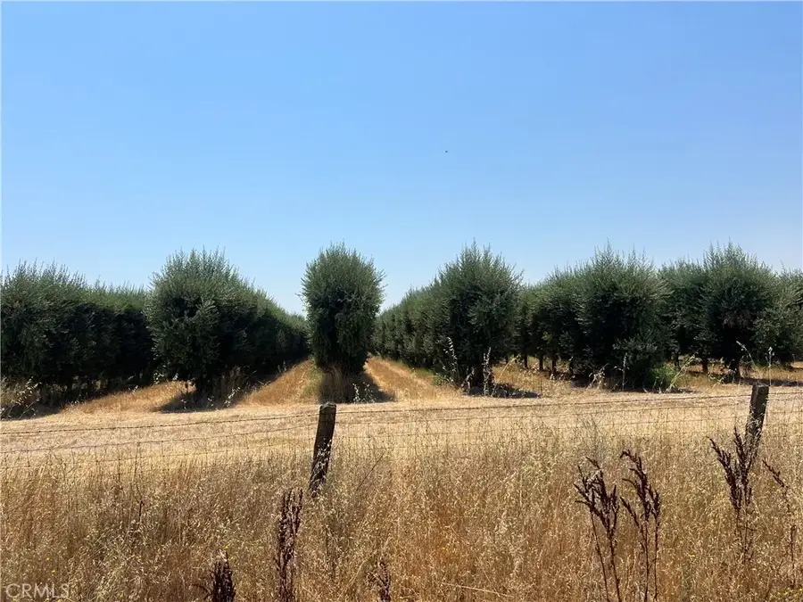 0 County Road D, Orland, CA 95963 - #2