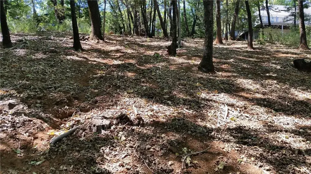 13424 Adrian, Magalia, CA 95954 - #1