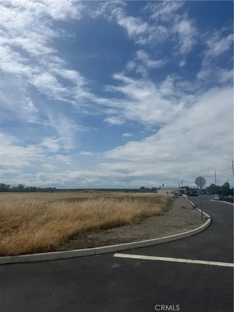 0 Cortina, Orland, CA 95963 - #3
