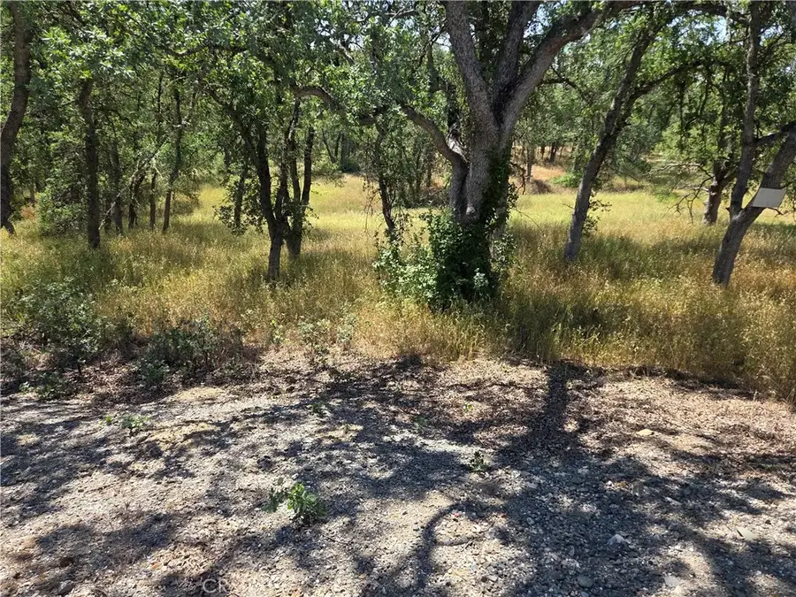 17087 Laramie, Corning, CA 96021 - #3