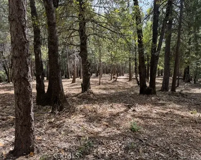 0 Platt Mountain, Forest Ranch, CA 95942 - #1