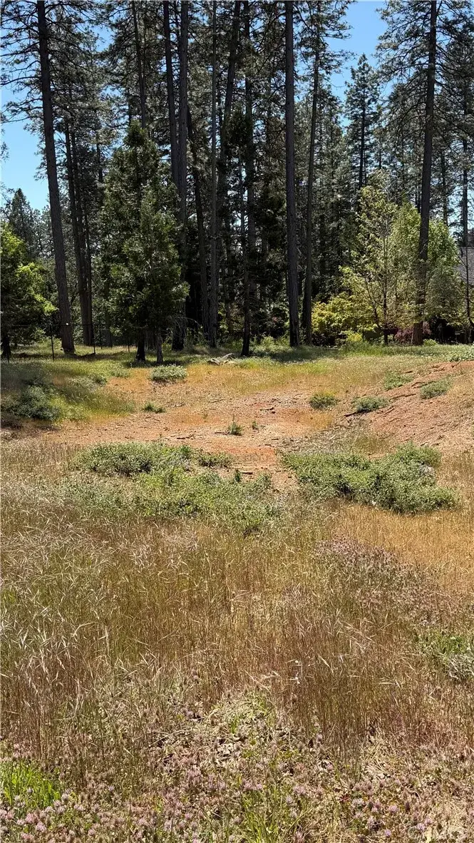 1644 Paradisewood, Paradise, CA 95969 - #2