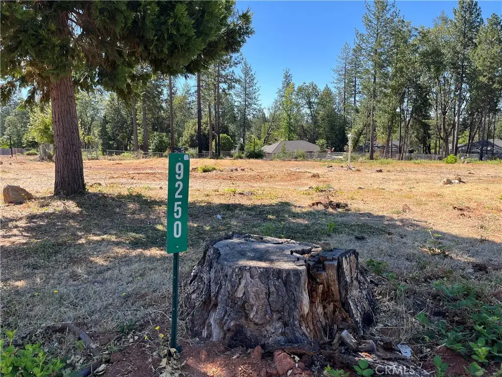 9250 Skyway, Paradise, CA 95969 - #1