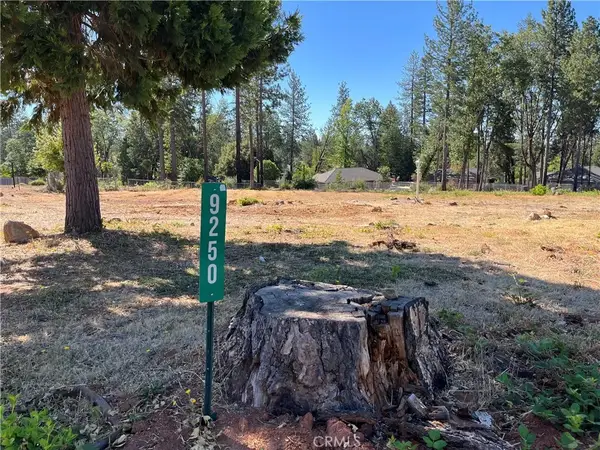 9250 Skyway, Paradise, CA 95969