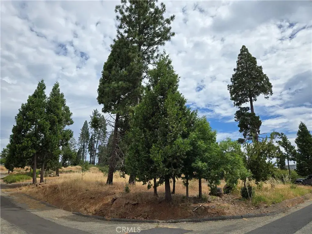 13549 S Park, Magalia, CA 95954 - #1
