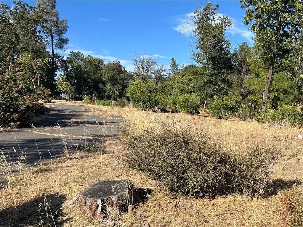 145 Roe, Paradise, CA 95969 - #1