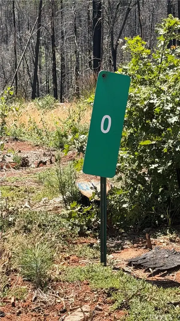 0 Vilas, Cohasset, CA 95973