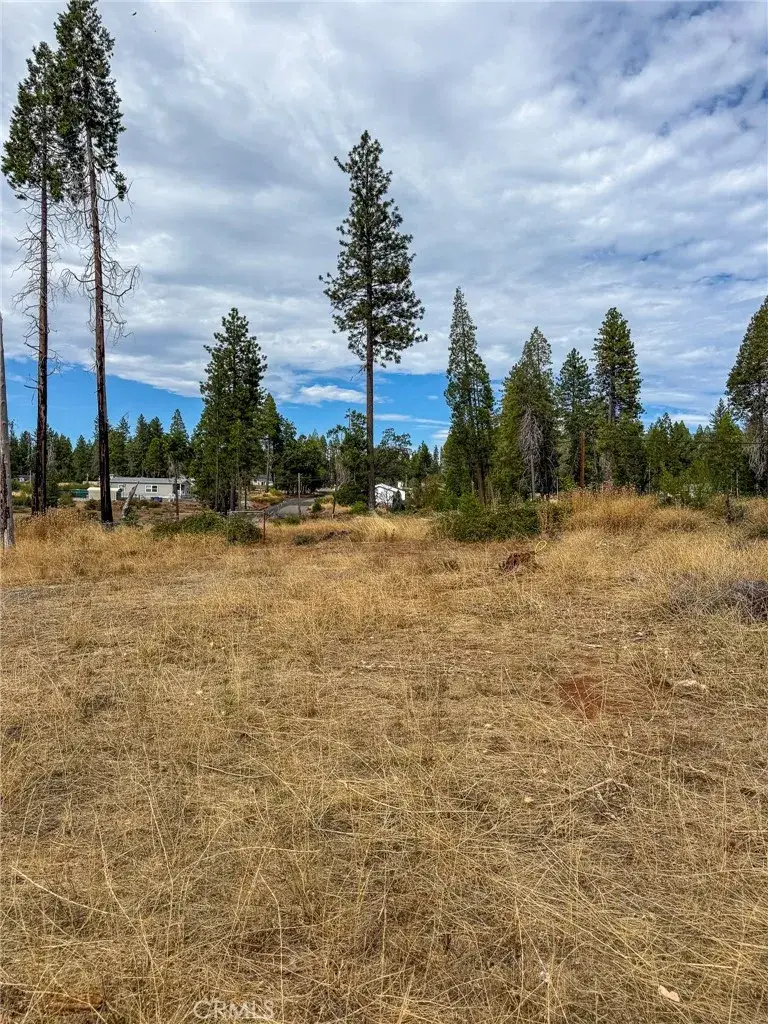 13660 Fritz, Magalia, CA 95954 - #3