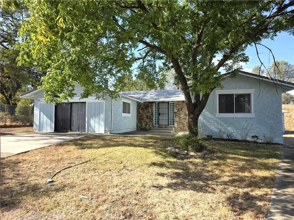 3 Stallion Court, Oroville, CA 95966 - #1