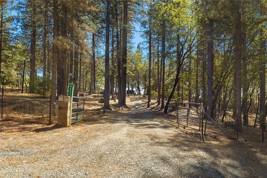 4602 Wendlis Road, Forest Ranch, CA 95942 - #2