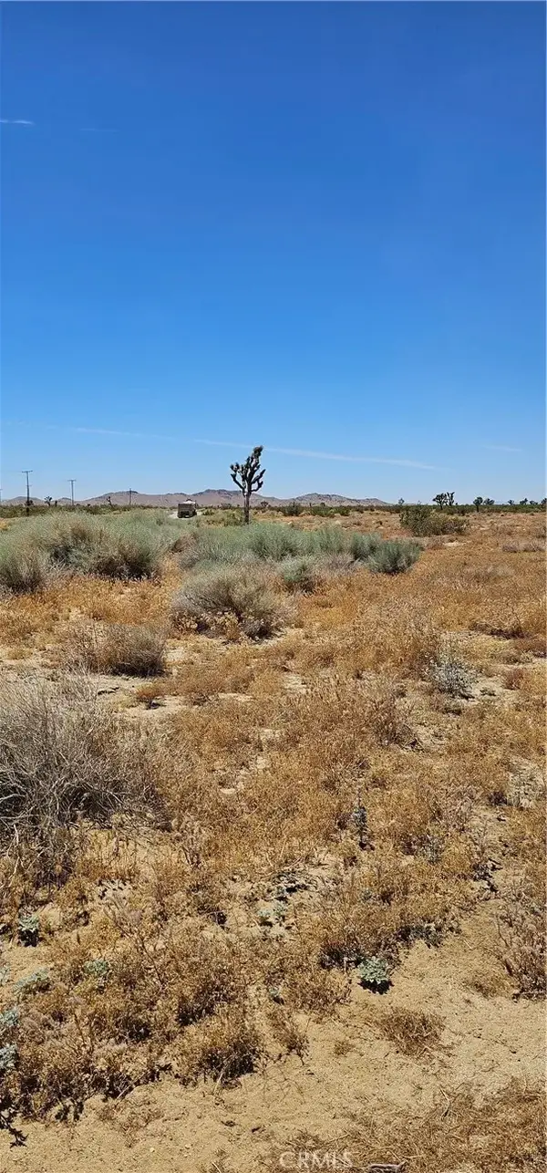 0 Longhorn, Mojave, CA 93501