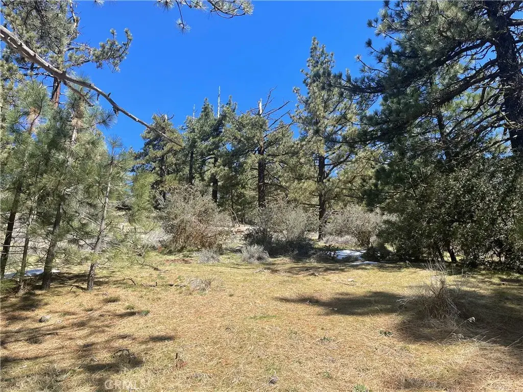 0 Matterhorn, Tehachapi, CA 93561 - #1