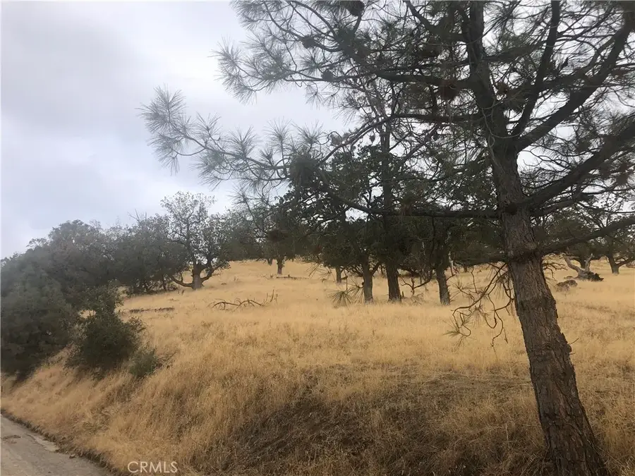 0 Matterhorn, Tehachapi, CA 93561 - #2