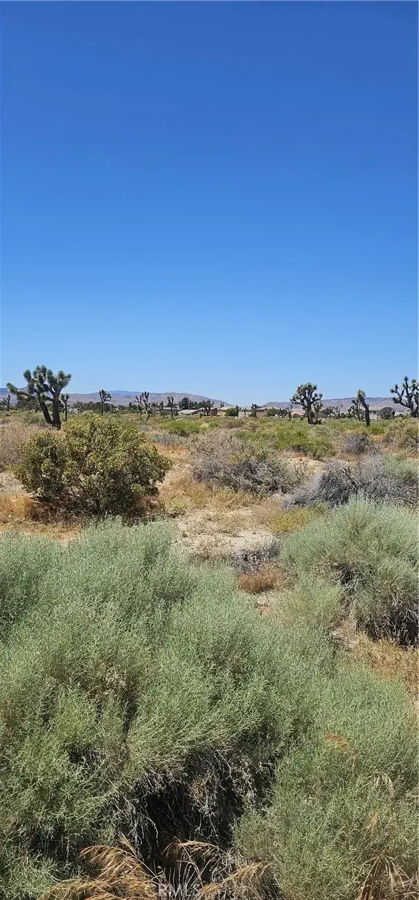 0 E Palmdale, Palmdale, CA 93550 - Image #3