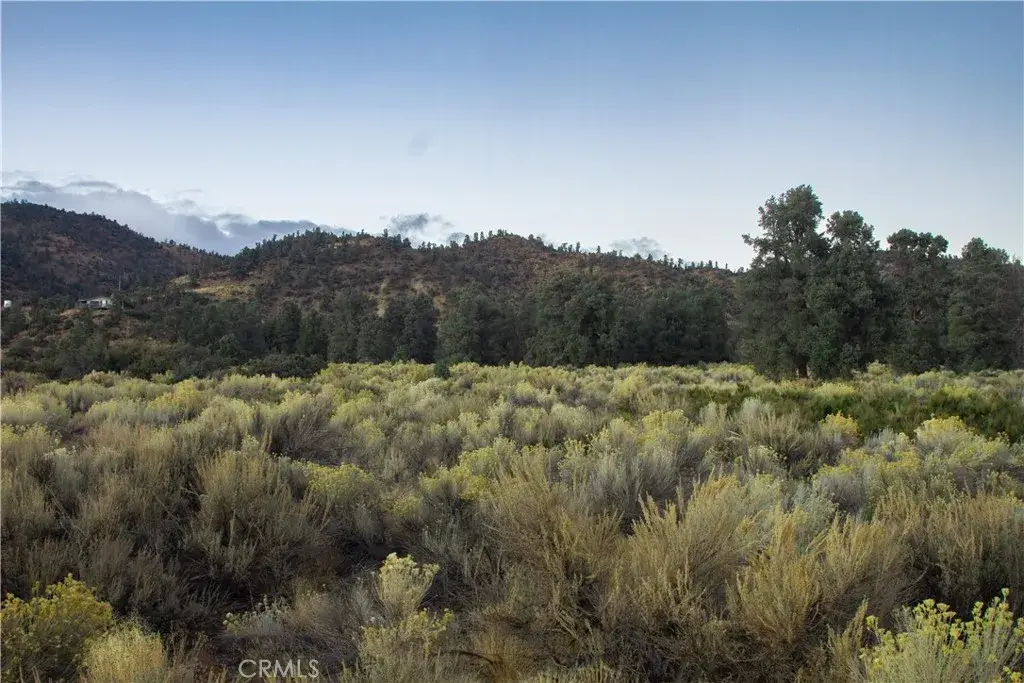 0 Curtis Trl, Frazier Park, CA 93225 - Image #1