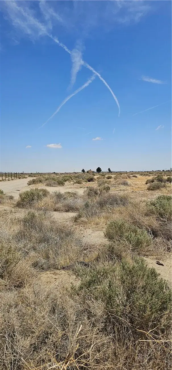 0 George, Rosamond, CA 93560 - Image #3