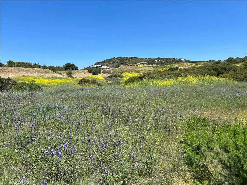 24201 Mulholland, Calabasas, CA 91302 - #1