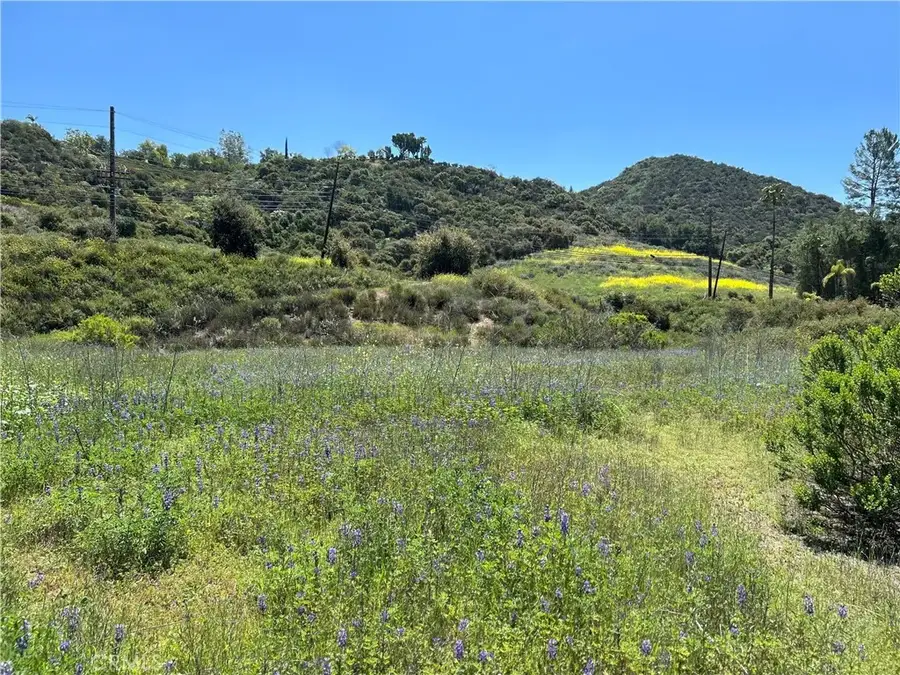 24201 Mulholland, Calabasas, CA 91302 - #2