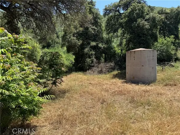 0 San Francisquito Canyon, Green Valley, CA 91390