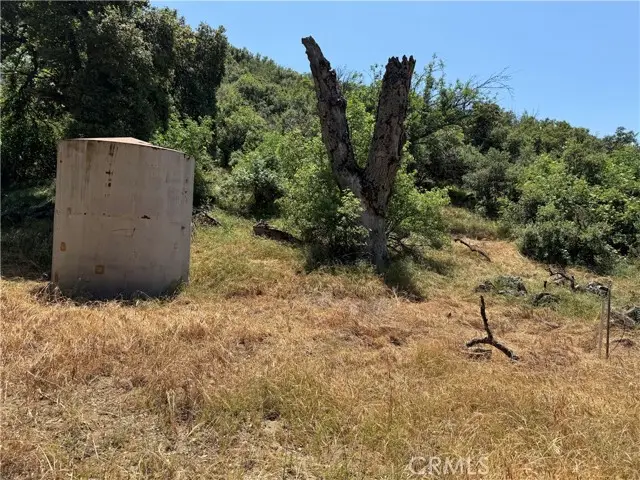 0 San Francisquito Canyon, Green Valley, CA 91390 - Image #3