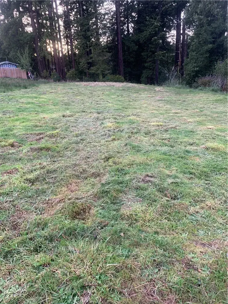 0 Brogan, Eureka, CA 95503 - Image #3