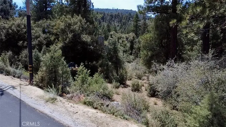 2313 Askin Ct., Pine Mountain Club, CA 93222 - Image #2