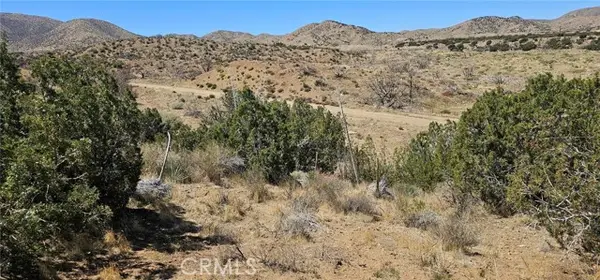 0 98th East, Juniper Hills, CA 93543