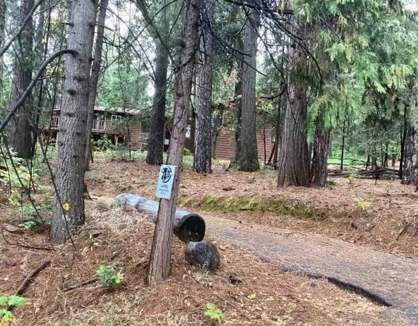 14669 Old Camptonville Road, Camptonville, CA 95922 - Image #1