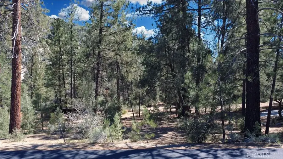 2530 Brentwood Place, Pine Mountain Club, CA 93222 - Image #2