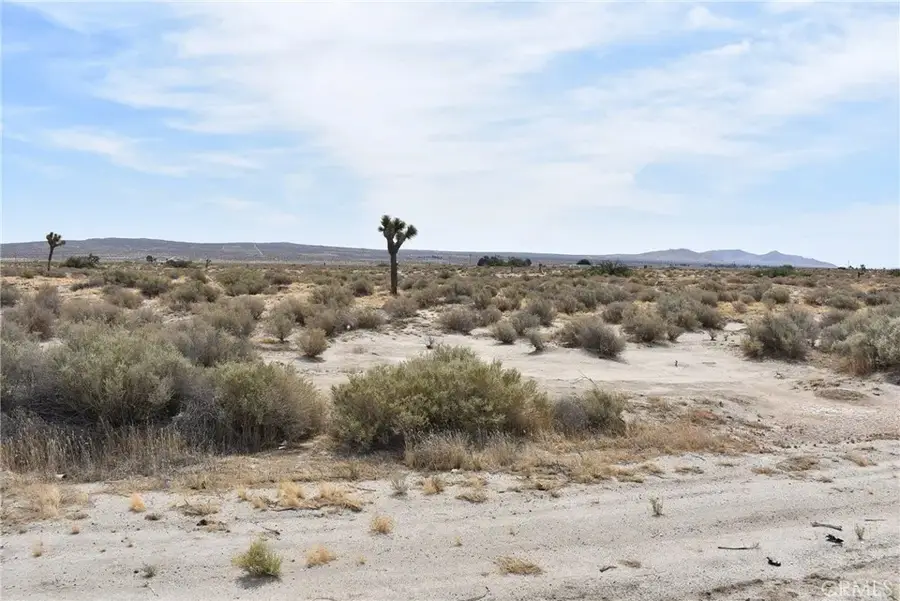 47660 120th East, Lancaster, CA 93535 - #3
