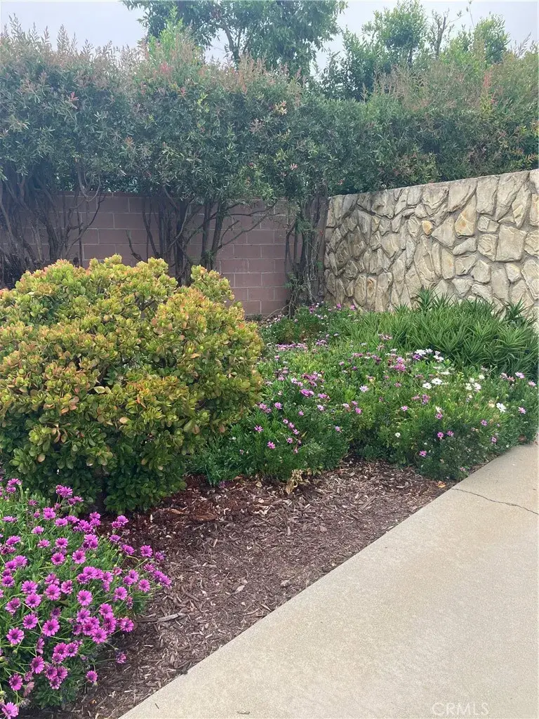 6914 Andasol Avenue, Lake Balboa, CA 91406 - Image #3